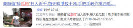 挑一挑西瓜，月入3万！