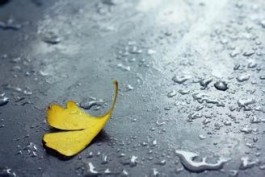 窗外又下起了雨！