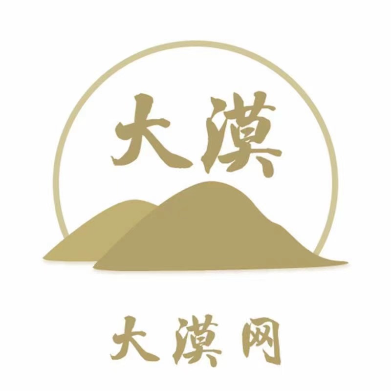 大漠网LOGO