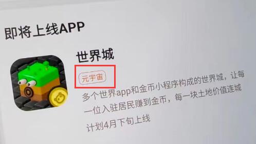 谈谈蜂群联盟世界城元宇宙项目和NFT数字潮玩项目