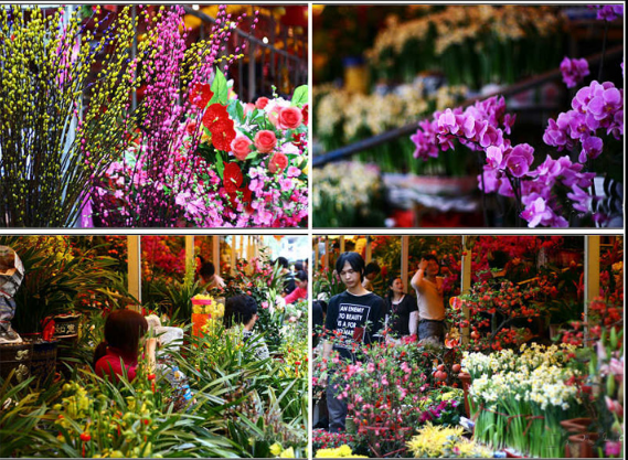春节花市卖什么东西比较好卖赚钱？揭秘新年花市摊位怎么做
